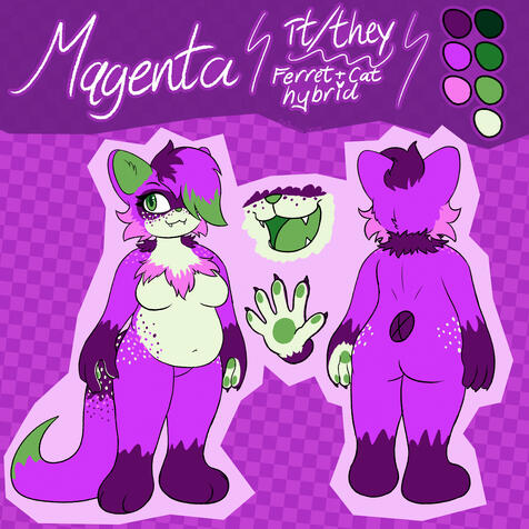 Ref Sheet・$100